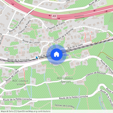 Rue de la Gare 2, 1091 Grandvaux