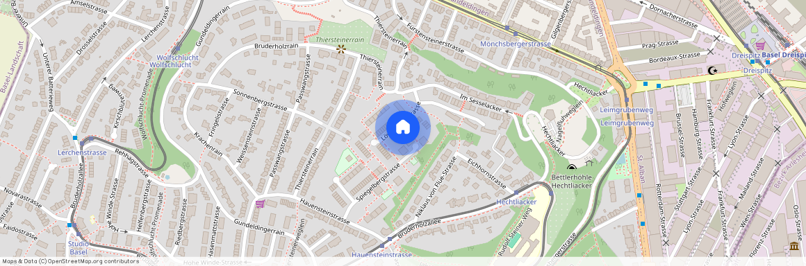 Löwenbergstrasse 21, 4059 Basel