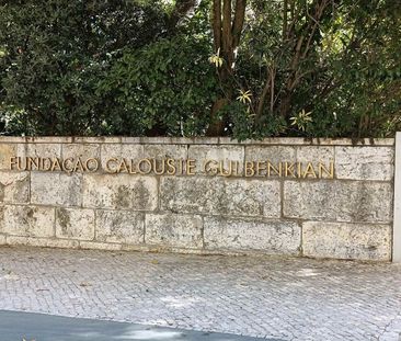 Rua Doutor Álvaro de Castro - Photo 3