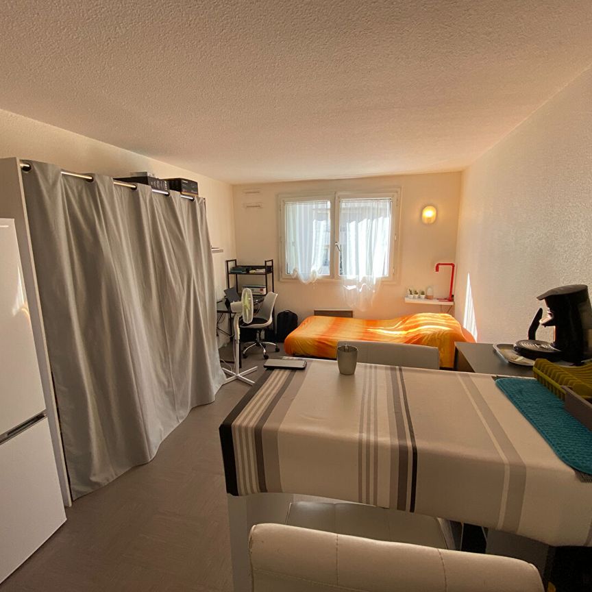 STUDIO VILLEURBANNE - 20 M2 , Villeurbanne - Photo 1