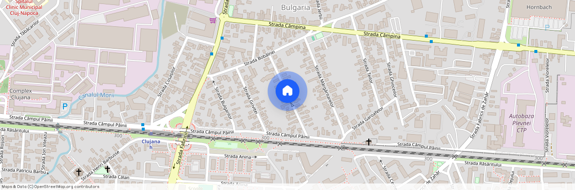 Strada Arad, Bulgaria, Cluj-Napoca, Cluj