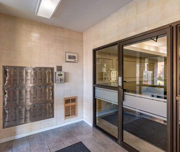 Albert Terrace Apartments - ALL INCLUSIVE - Photo 4