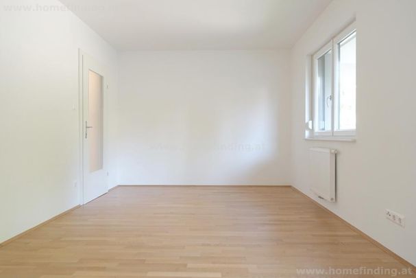 in Grünruhelage/ 3 Zimmerwohnung - 5 Jahre befristet - Photo 1