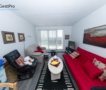 1805 de Grandville - Photo 6