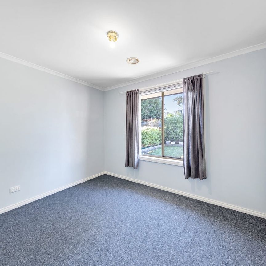 The Entertainer! - Photo 1