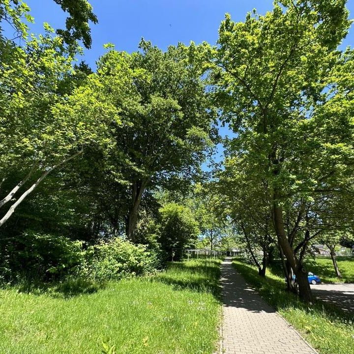 Ein kleines Wohnglück mit Balkon in begrünter Wohnlage - Foto 1