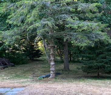 For Lease - 199 Barnardo Avenue, Peterborough North, Ontario - Photo 6