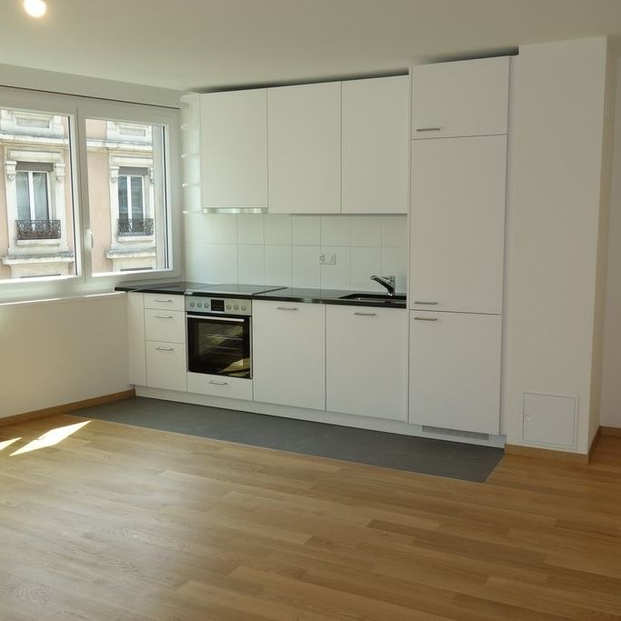 Plainpalais - Foto 1