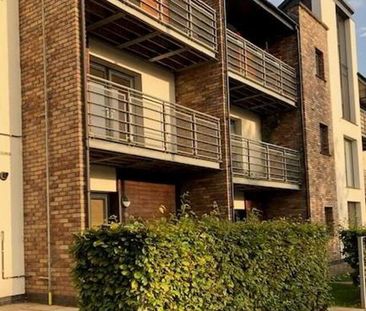 93 Badgers Lane, Lisburn, BT28 2ZH - Photo 5