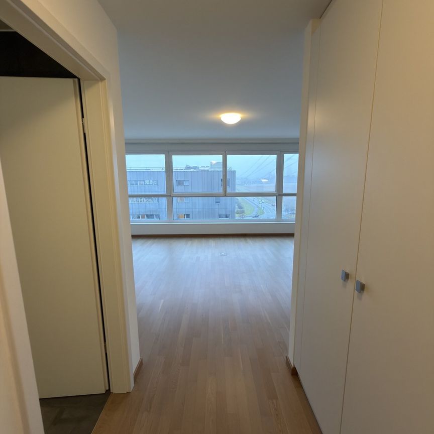 1 Zimmer, 42 m² - Foto 1