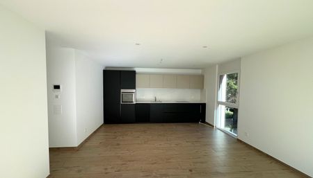 Via Rompeda, 6512, Giubiasco - Foto 5