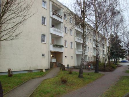 Frisch renovierte 3 Raumwohnung mit Duschbad! - Photo 4