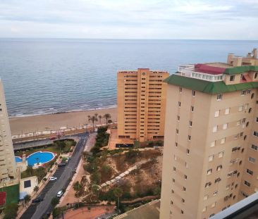 El Campello - Photo 6