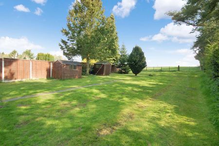 3 bedroom semi-detached house to rent - Photo 5