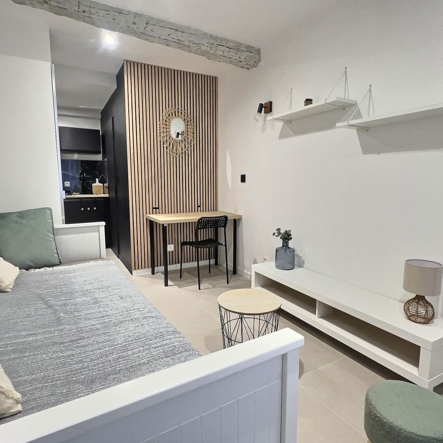 Location Appartement 1 pièce 16m² AIX EN PROVENCE 13100 - Photo 1