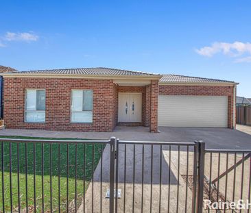 4 Toucan Road, Tarneit, VIC 3029 - Photo 6