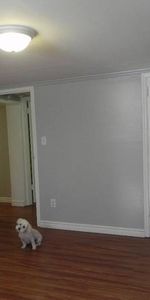 RENOVATED 2 BEDROOM BSMT APT - Photo 3