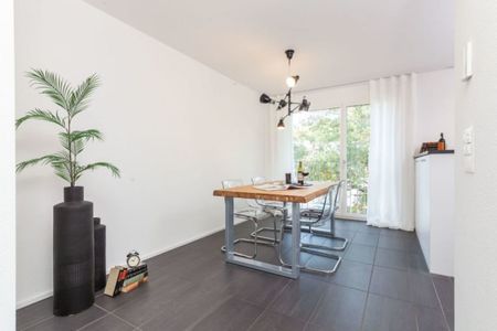 143m2 Terrasse - beste Lage in Rheinfelden - Foto 2