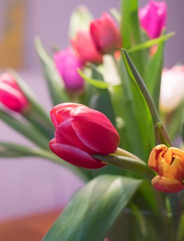 Tranebergsvägen, Bromma - Foto 2