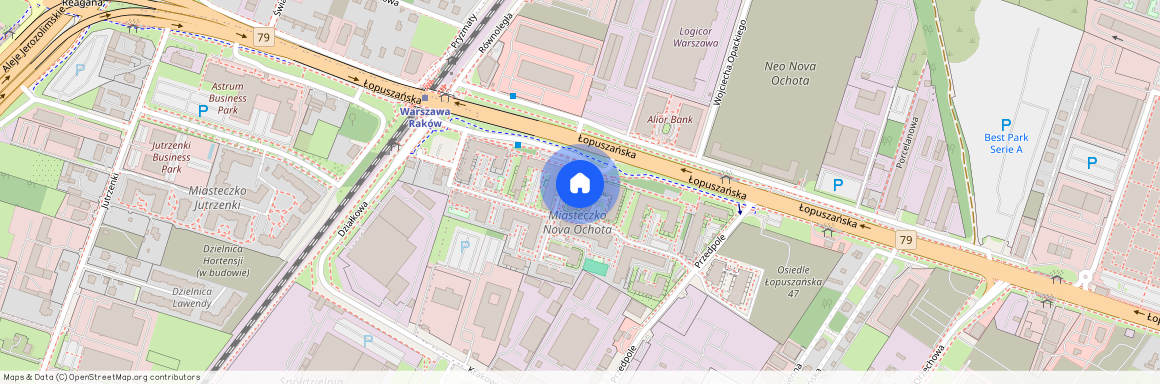 ul. Łopuszańska, Raków, Włochy, Warszawa, mazowieckie