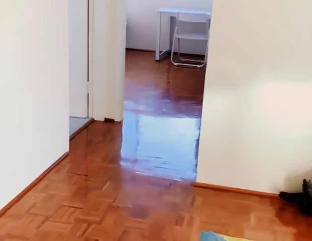 31 Boronia St, Sydney - Photo 1