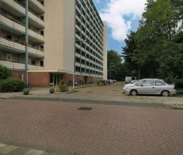 Jisperveldstraat 0ong, 1024 Amsterdam, Nederland - Foto 1