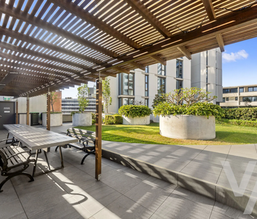 1002/466 King Street, Newcastle West NSW 2302 - Apartment For Rent ... - Photo 6