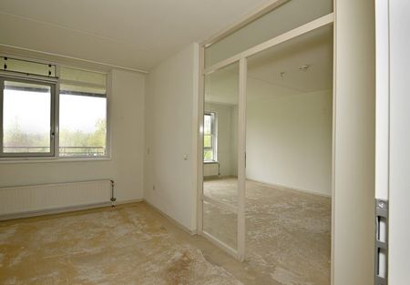 Saxenstate 9 - Foto 4