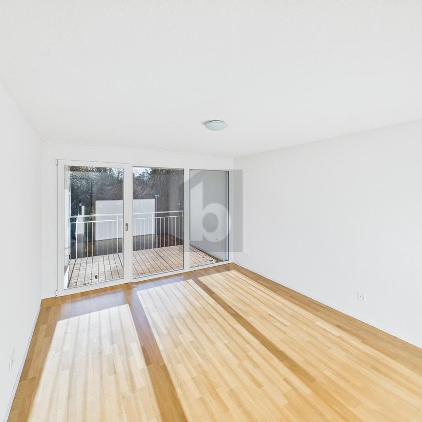 MODERN AND LIGHT-FLOODED - Photo 1