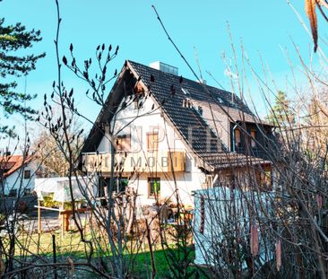 Zentral wohnen: Teilmöblierte 2-Zi-Wohnung mit Flair! - Photo 6