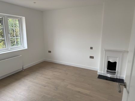 4 Bed Semi-Detached House, Halliwick Road, N10 - Photo 4