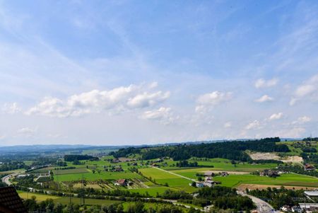6.5 Zimmer, 260 m², 1. Stock - Photo 5