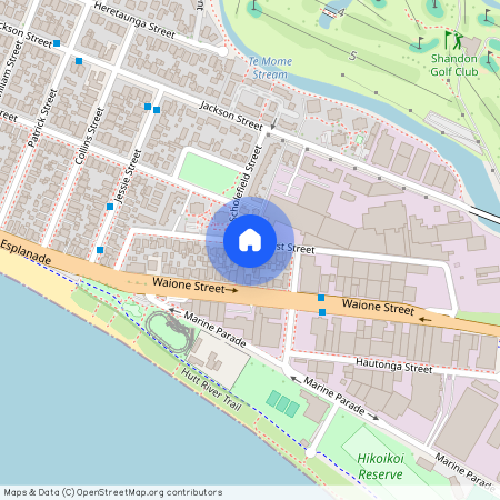 33 East Street, Petone