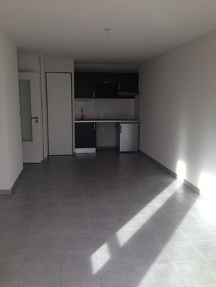 Location Appartement 2 pièces 40m² ST ALBAN 31140 - Photo 1