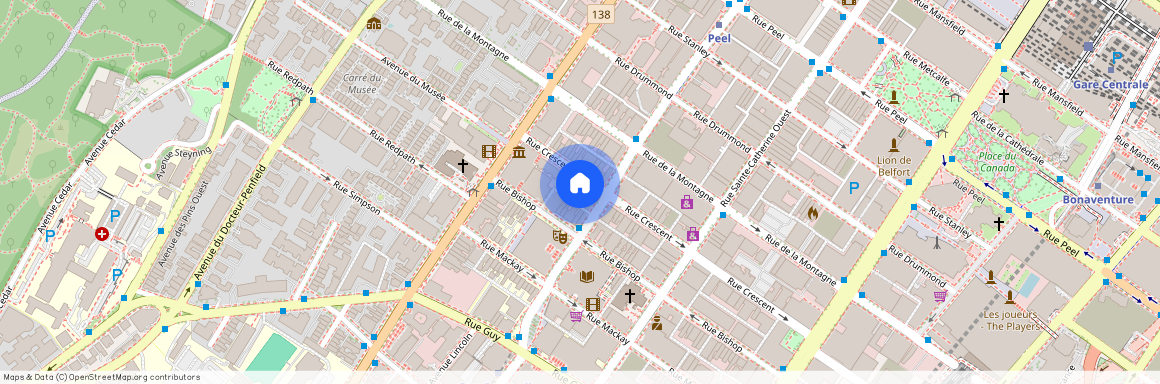 1434 Rue Sainte-Catherine Ouest, Ville-Marie, Ville-Marie, Ile de Montréal, H3G 1S6
