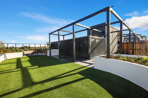 205/7 Paper Trail, Alphington VIC 3078 - Apartment For Rent | Domain - Photo 1