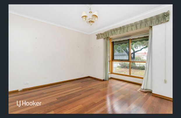 17A Willow Avenue, Manningham SA 5086 - House For Rent | Domain - Photo 1