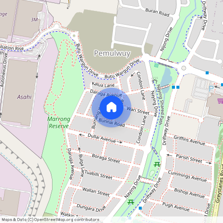 5 Nea Drive, NSW 2145, Pemulwuy