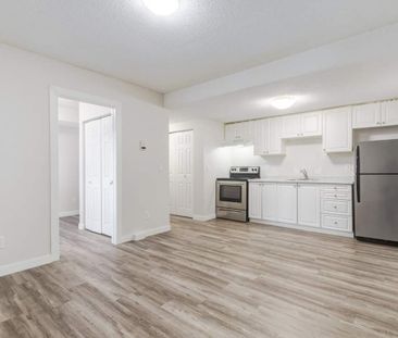Renovated Suite - 3 Bedroom - Photo 2