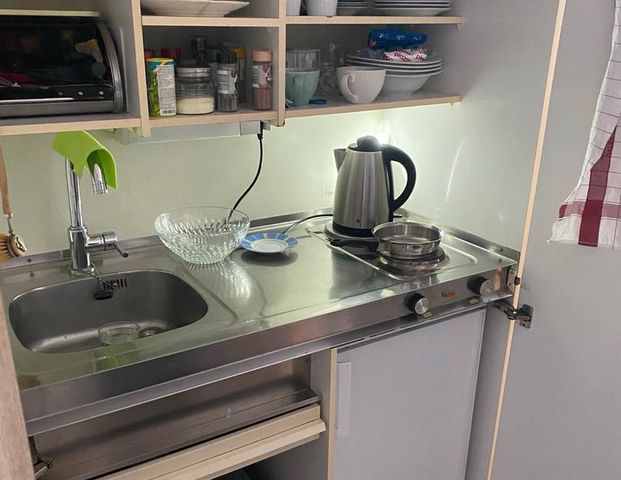 Nachmieter für gemütliche Einzimmerwohnung gesucht - Photo 1