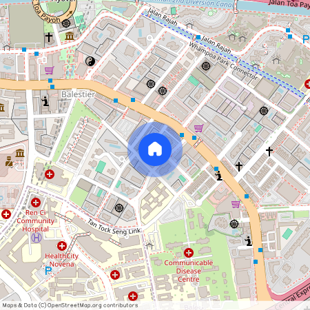 45 MANDALAY ROAD, 308225, Singapore