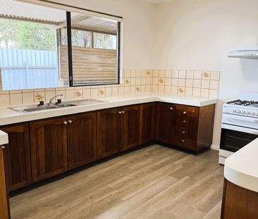 Huge Yard - Secure Fencing - Photo 2