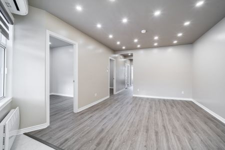 Condo for rent, Montréal (Le Plateau-Mont-Royal) - Photo 3
