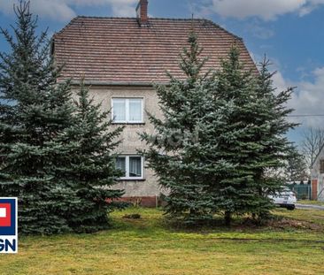 Mieszkanie willowe na wynajem Nowa Wieś - Photo 5