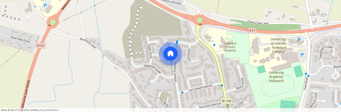 Chestnut Avenue, Holbeach, Spalding