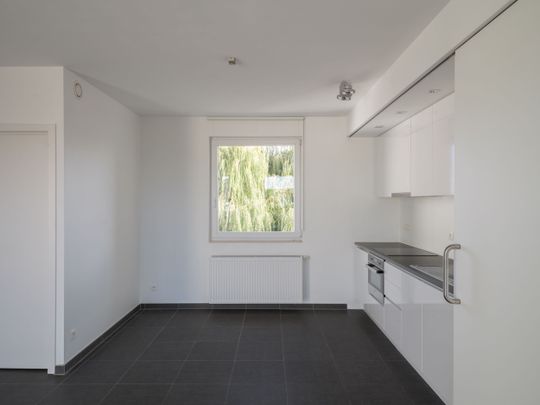 Instapklaar éénslaapkamerappartement met terras en autostaanplaats - Photo 1