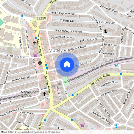 Lisson Grove, Plymouth