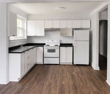 For Lease - 20 LOWER CHARLOTTE Street Unit# 2, Lower Town - Sandy H... - Photo 5