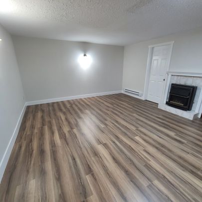 Spacious Basement Suite in Abbotsford - Photo 1