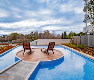 710/102 Easty Street, Phillip ACT 2606 - Apartment For Rent | Domain - Photo 1